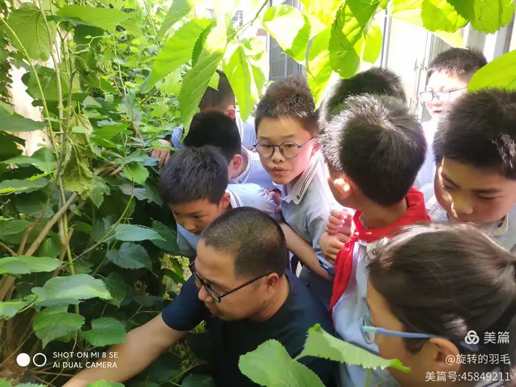 蚕桑劳动教育系列课程